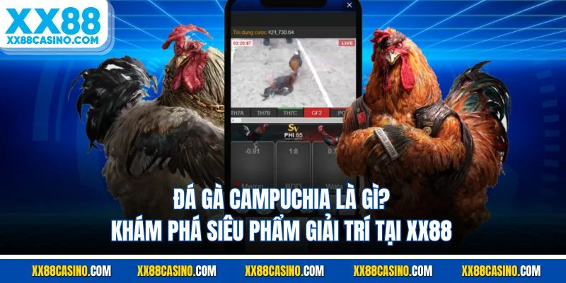 Đá Gà Campuchia Là Gì? Khám Phá Siêu Phẩm Giải Trí Tại XX88 
